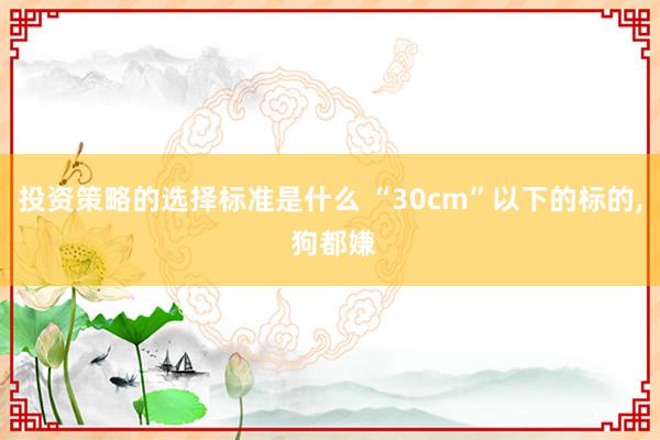 投资策略的选择标准是什么 “30cm”以下的标的, 狗都嫌