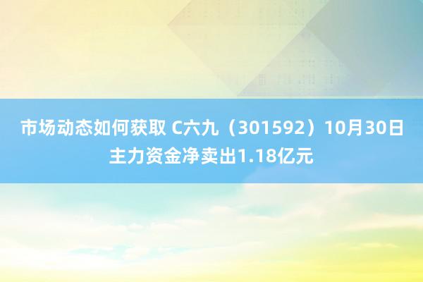 市场动态如何获取 C六九（301592）10月30日主力资金净卖出1.18亿元