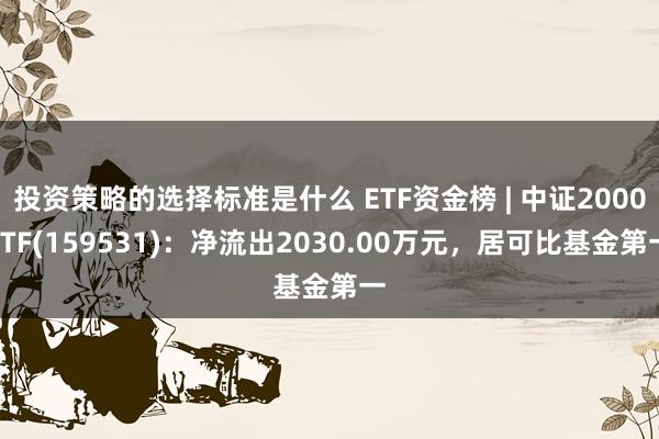 投资策略的选择标准是什么 ETF资金榜 | 中证2000ETF(159531)：净流出2030.00万元，居可比基金第一