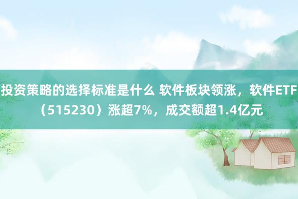 投资策略的选择标准是什么 软件板块领涨，软件ETF（515230）涨超7%，成交额超1.4亿元