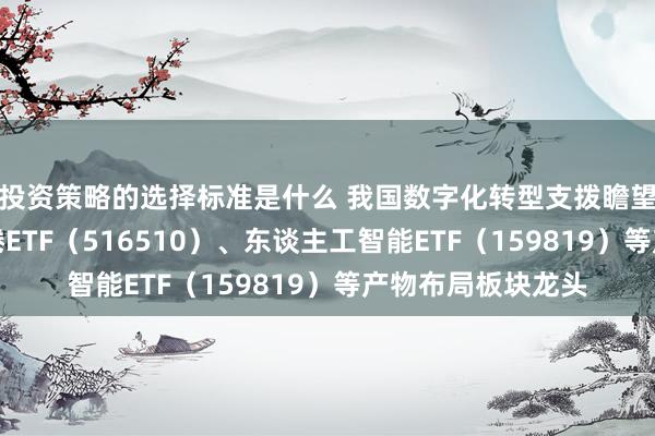 投资策略的选择标准是什么 我国数字化转型支拨瞻望快速增长，云缱绻ETF（516510）、东谈主工智能ETF（159819）等产物布局板块龙头