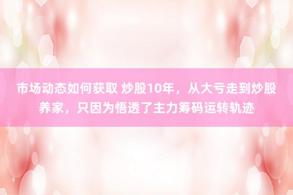 市场动态如何获取 炒股10年，从大亏走到炒股养家，只因为悟透了主力筹码运转轨迹