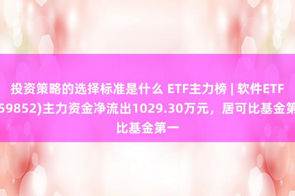 投资策略的选择标准是什么 ETF主力榜 | 软件ETF(159852)主力资金净流出1029.30万元，居可比基金第一