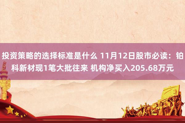 投资策略的选择标准是什么 11月12日股市必读：铂科新材现1笔大批往来 机构净买入205.68万元