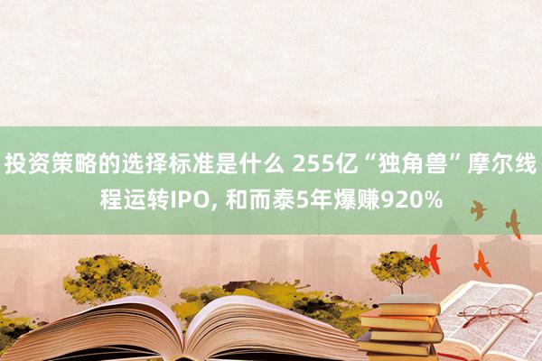 投资策略的选择标准是什么 255亿“独角兽”摩尔线程运转IPO, 和而泰5年爆赚920%