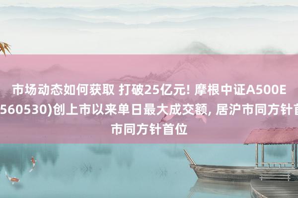 市场动态如何获取 打破25亿元! 摩根中证A500ETF(560530)创上市以来单日最大成交额, 居沪市同方针首位