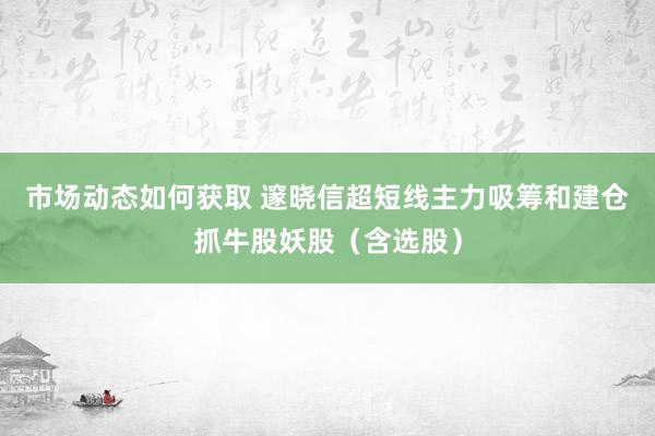 市场动态如何获取 邃晓信超短线主力吸筹和建仓抓牛股妖股（含选股）