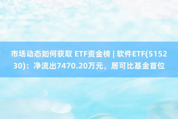 市场动态如何获取 ETF资金榜 | 软件ETF(515230)：净流出7470.20万元，居可比基金首位