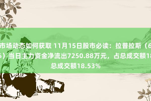 市场动态如何获取 11月15日股市必读：拉普拉斯（688726）当日主力资金净流出7250.88万元，占总成交额18.53%