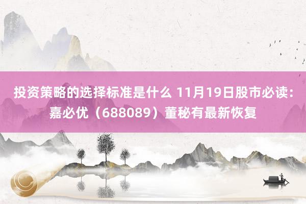 投资策略的选择标准是什么 11月19日股市必读：嘉必优（688089）董秘有最新恢复