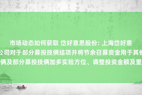 市场动态如何获取 岱好意思股份: 上海岱好意思汽车内饰件股份有限公司对于部分募投技俩结项并将节余召募资金用于其他募投技俩及部分募投技俩加多实验方位、调整投资金额及里面投资结构并展期的公告本色选录