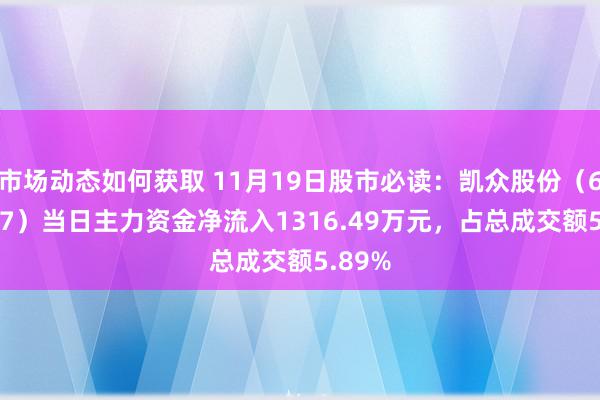 市场动态如何获取 11月19日股市必读：凯众股份（603037）当日主力资金净流入1316.49万元，占总成交额5.89%