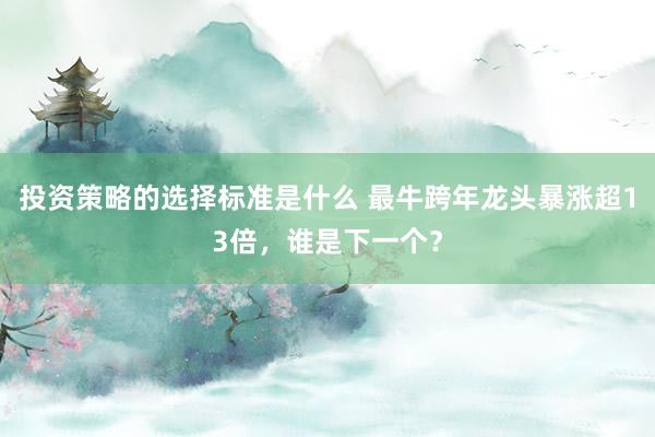 投资策略的选择标准是什么 最牛跨年龙头暴涨超13倍，谁是下一个？