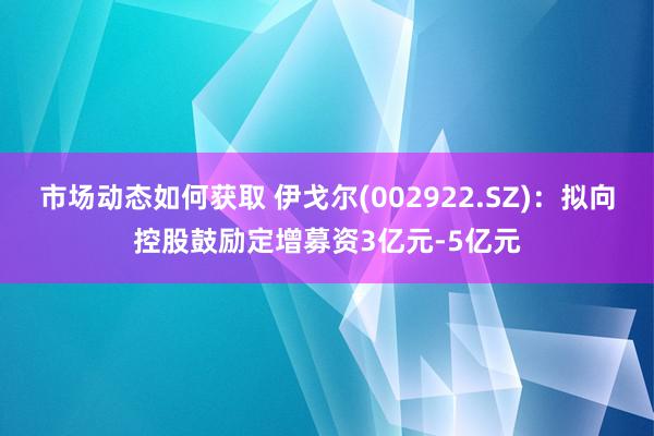 市场动态如何获取 伊戈尔(002922.SZ)：拟向控股鼓励定增募资3亿元-5亿元