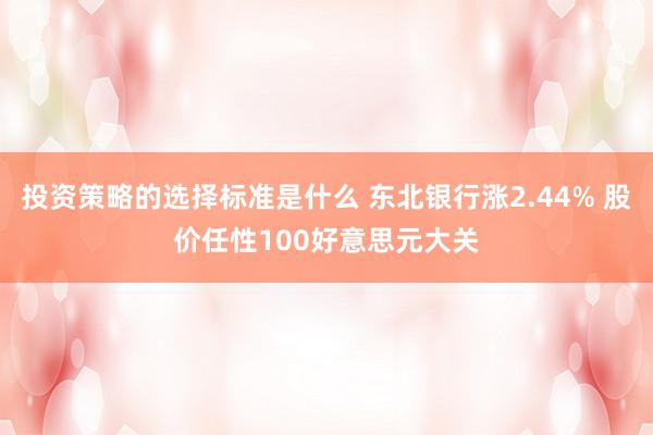 投资策略的选择标准是什么 东北银行涨2.44% 股价任性100好意思元大关