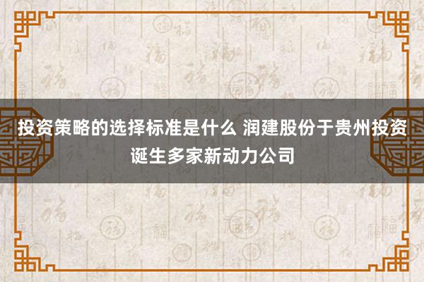 投资策略的选择标准是什么 润建股份于贵州投资诞生多家新动力公司