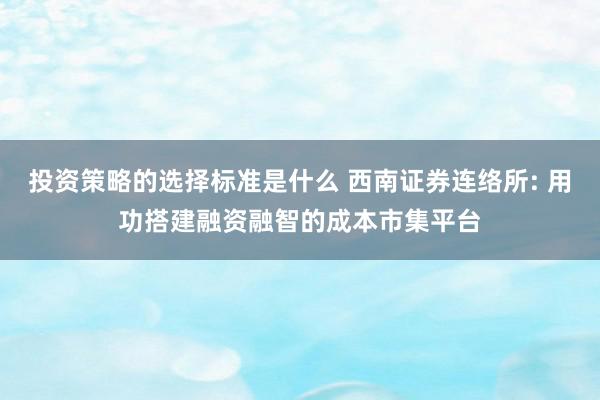 投资策略的选择标准是什么 西南证券连络所: 用功搭建融资融智的成本市集平台