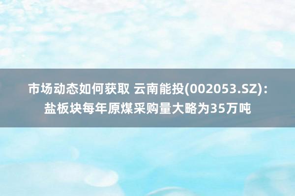 市场动态如何获取 云南能投(002053.SZ)：盐板块每年原煤采购量大略为35万吨