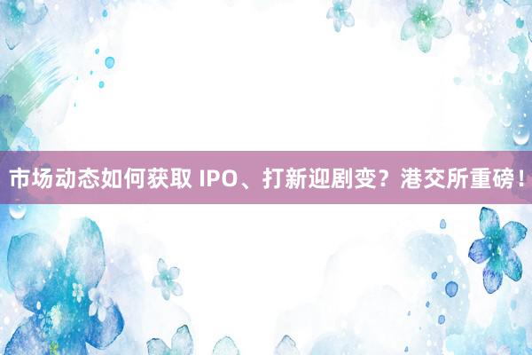 市场动态如何获取 IPO、打新迎剧变？港交所重磅！