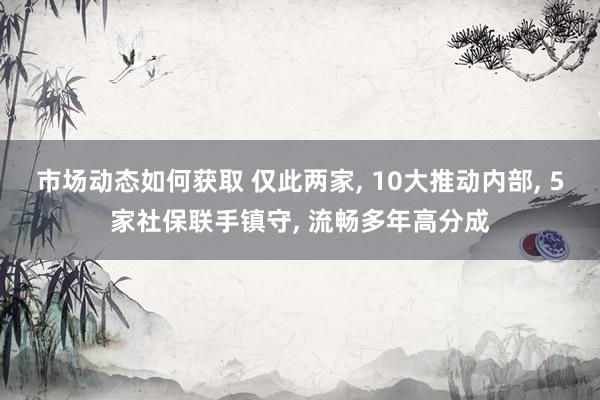 市场动态如何获取 仅此两家, 10大推动内部, 5家社保联手镇守, 流畅多年高分成