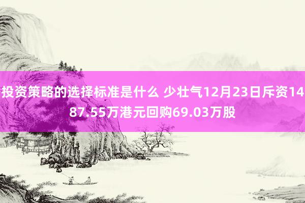 投资策略的选择标准是什么 少壮气12月23日斥资1487.55万港元回购69.03万股