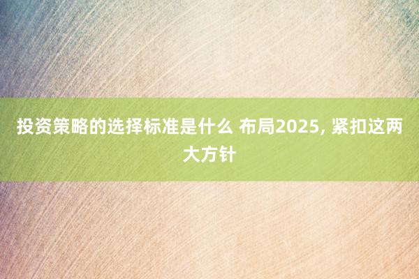 投资策略的选择标准是什么 布局2025, 紧扣这两大方针