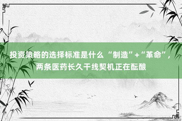 投资策略的选择标准是什么 “制造”+“革命”, 两条医药长久干线契机正在酝酿