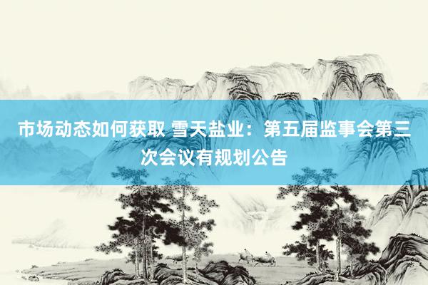 市场动态如何获取 雪天盐业：第五届监事会第三次会议有规划公告