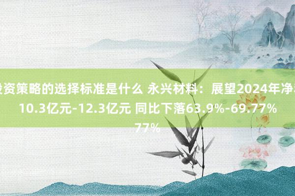 投资策略的选择标准是什么 永兴材料：展望2024年净利10.3亿元-12.3亿元 同比下落63.9%-69.77%