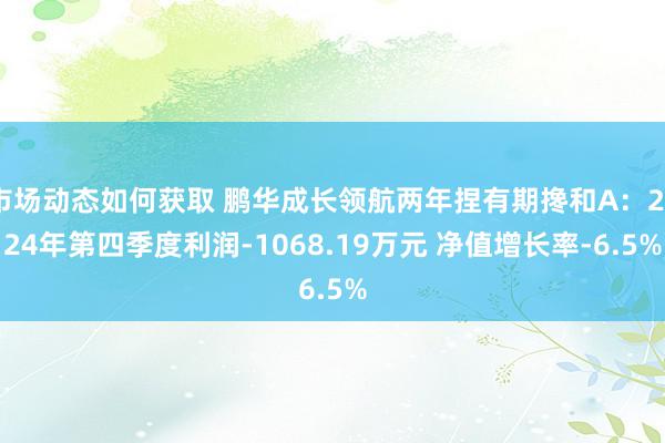 市场动态如何获取 鹏华成长领航两年捏有期搀和A：2024年第四季度利润-1068.19万元 净值增长率-6.5%