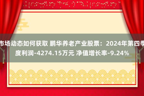 市场动态如何获取 鹏华养老产业股票：2024年第四季度利润-4274.15万元 净值增长率-9.24%