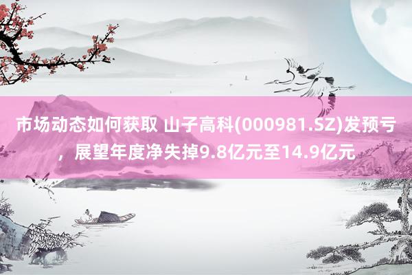 市场动态如何获取 山子高科(000981.SZ)发预亏，展望年度净失掉9.8亿元至14.9亿元