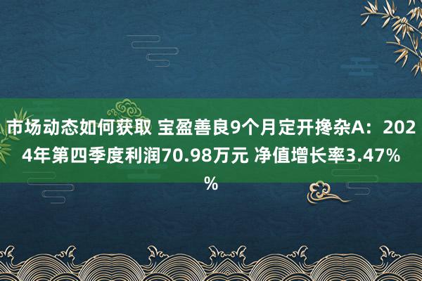 市场动态如何获取 宝盈善良9个月定开搀杂A：2024年第四季度利润70.98万元 净值增长率3.47%