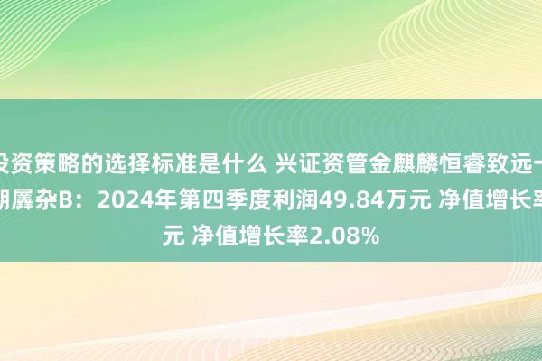 投资策略的选择标准是什么 兴证资管金麒麟恒睿致远一年执有期羼杂B：2024年第四季度利润49.84万元 净值增长率2.08%