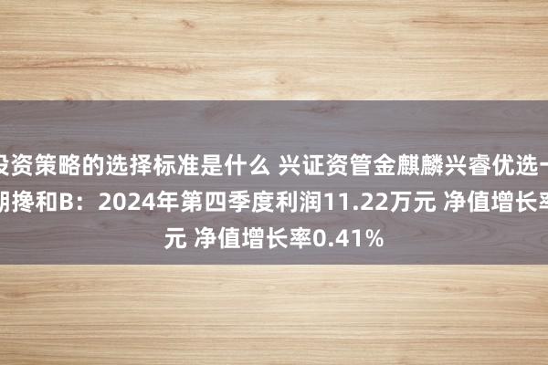 投资策略的选择标准是什么 兴证资管金麒麟兴睿优选一年握有期搀和B：2024年第四季度利润11.22万元 净值增长率0.41%