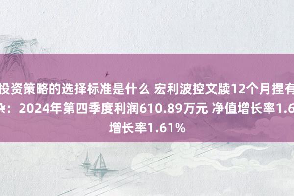 投资策略的选择标准是什么 宏利波控文牍12个月捏有夹杂：2024年第四季度利润610.89万元 净值增长率1.61%