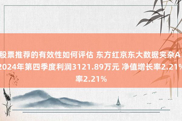 股票推荐的有效性如何评估 东方红京东大数据夹杂A：2024年第四季度利润3121.89万元 净值增长率2.21%