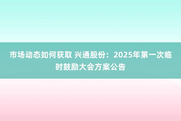 市场动态如何获取 兴通股份：2025年第一次临时鼓励大会方案公告