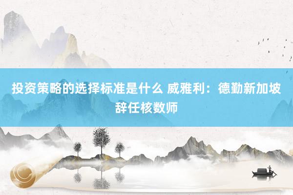 投资策略的选择标准是什么 威雅利：德勤新加坡辞任核数师