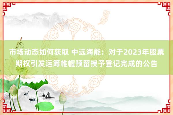 市场动态如何获取 中远海能：对于2023年股票期权引发运筹帷幄预留授予登记完成的公告