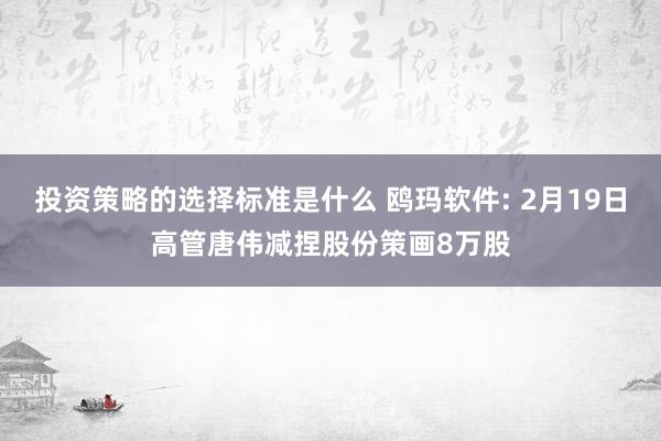 投资策略的选择标准是什么 鸥玛软件: 2月19日高管唐伟减捏股份策画8万股