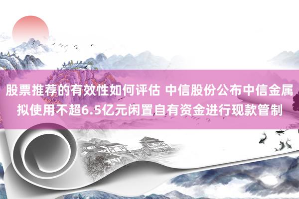 股票推荐的有效性如何评估 中信股份公布中信金属拟使用不超6.5亿元闲置自有资金进行现款管制