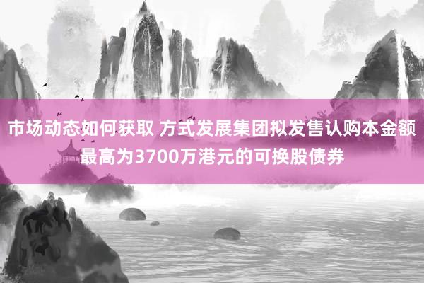 市场动态如何获取 方式发展集团拟发售认购本金额最高为3700万港元的可换股债券