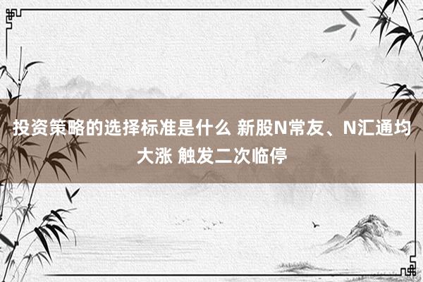 投资策略的选择标准是什么 新股N常友、N汇通均大涨 触发二次临停