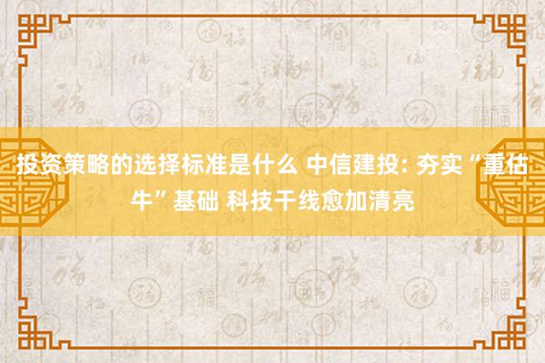 投资策略的选择标准是什么 中信建投: 夯实“重估牛”基础 科技干线愈加清亮