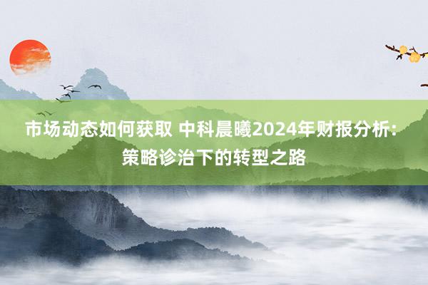 市场动态如何获取 中科晨曦2024年财报分析: 策略诊治下的转型之路