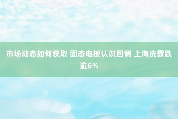 市场动态如何获取 固态电板认识回调 上海洗霸跌逾6%