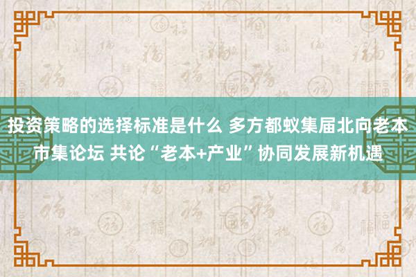 投资策略的选择标准是什么 多方都蚁集届北向老本市集论坛 共论“老本+产业”协同发展新机遇