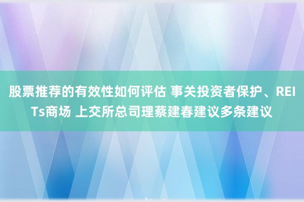 股票推荐的有效性如何评估 事关投资者保护、REITs商场 上交所总司理蔡建春建议多条建议