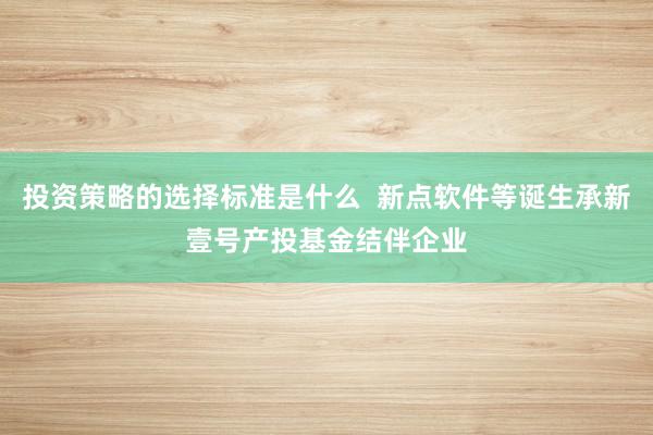 投资策略的选择标准是什么  新点软件等诞生承新壹号产投基金结伴企业